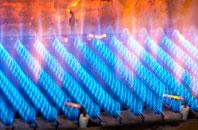 Darkland gas fired boilers